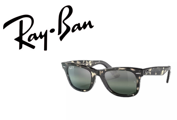 Havana Gray/Polarized Transparent Gradient Dark